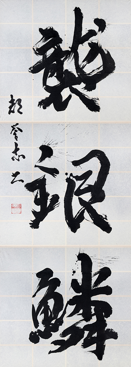 正面大文字 襲銀鱗
